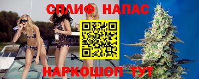 ГАЛЛЮЦИНОГЕННЫЕ ГРИБЫ Сланцы