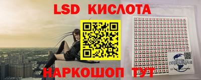 ГАЛЛЮЦИНОГЕННЫЕ ГРИБЫ Сланцы