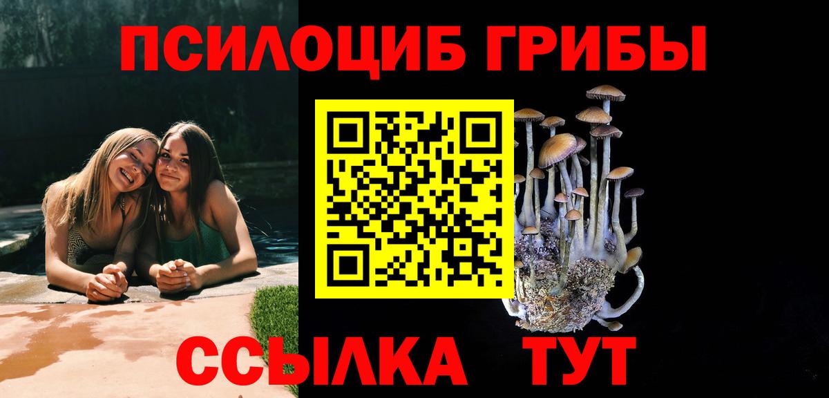 Галлюциногенные грибы Cubensis Саров